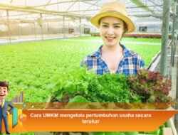 Cara UMKM Mengelola Pertumbuhan Usaha Secara Terukur